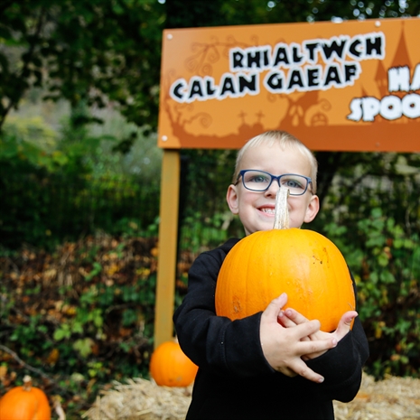 Rhialtwch Calan Gaeaf