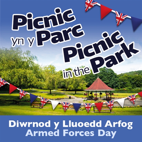Picnic yn y Parc Diwrnod y Lluoedd Arfog