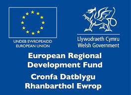 ERDF Logo