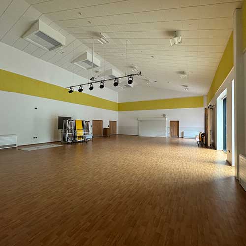 Penygawsi-Primary-grid-4