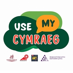 Use my cymraeg