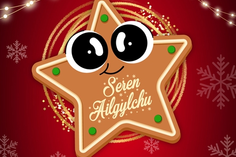 Byddwch yn 'Seren Ailgylchu' y Nadolig yma!