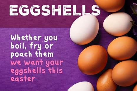 'EGGstra' POWER From Food Waste Recycling!
