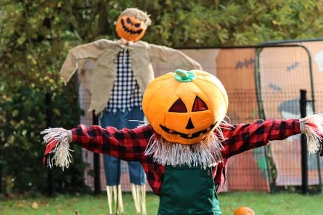 Get Ready to Be Spooked!