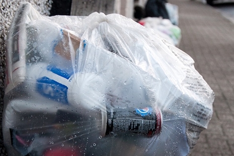 Gwyrth ym Mryn Pica!