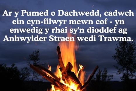 Noson Tân Gwyllt: Byddwch yn ystyriol o eraill ar 5 Tachwedd