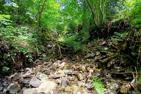 Cynllun gwaith sydd i ddod yng Nghwm-bach yn defnyddio cyllid Grant Diogelwch Tomenni Glo