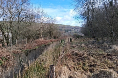 Gwaith clirio ar y gweill ar safle hen domen lo yn Nhrehafod