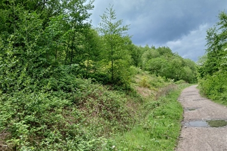 Drainage maintenance works to begin at Penrhiwceiber tip site