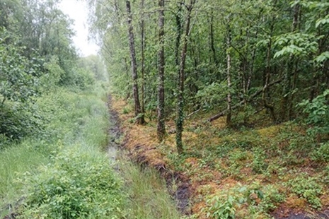 Routine maintenance work to get underway at Cefnpennar tip