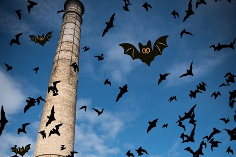 Get BOO-ked in for some free half term fun with your little monsters at Rhondda Heritage Park Museum!