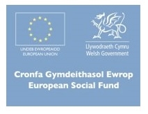 welsh gov euro social fund