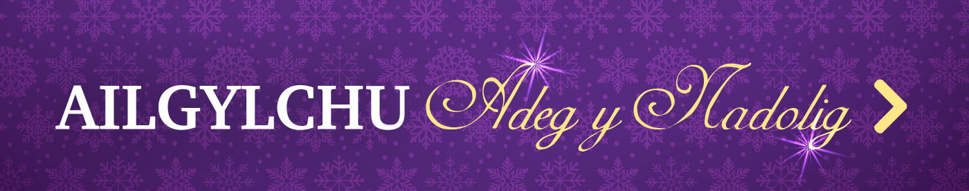 Christmas-2025-web-banner-WELSH