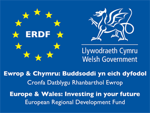 erdf logo