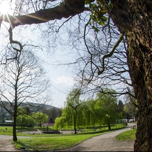 Pontypridd Park- view