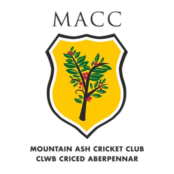 mountain ash cricket