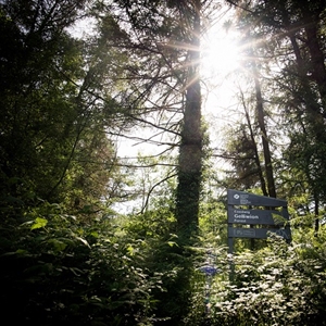 Barry Sidings Country Park - sun light
