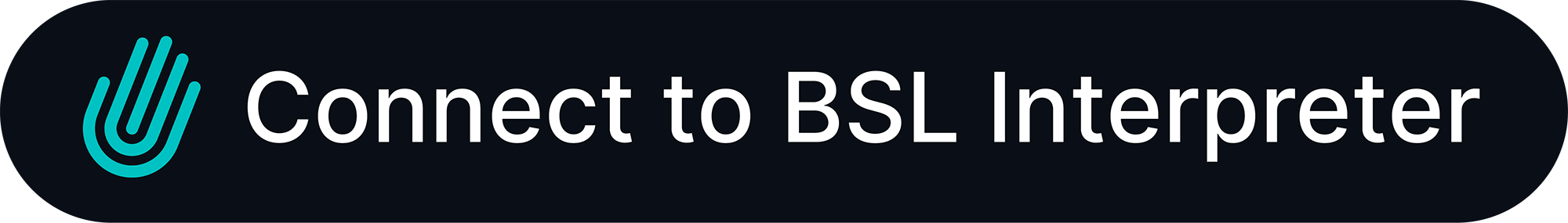 Connect to BSL Interpreter