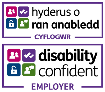 Disability-Confident-Logo
